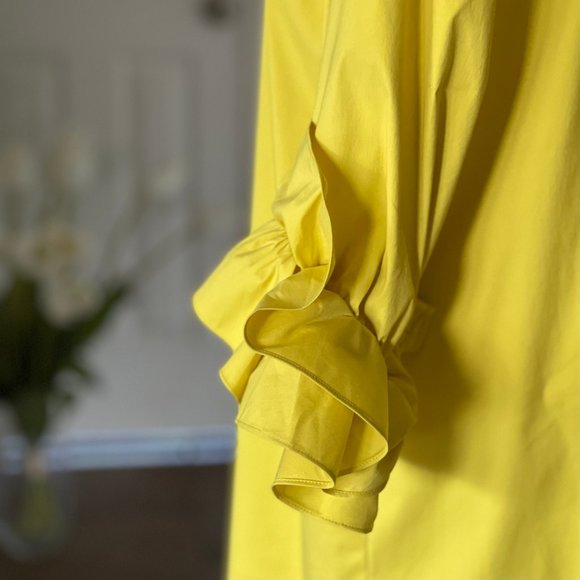 NWT Lafayette 148 Ruffle Sleeve Knee-length Dress - Picture 11 of 15